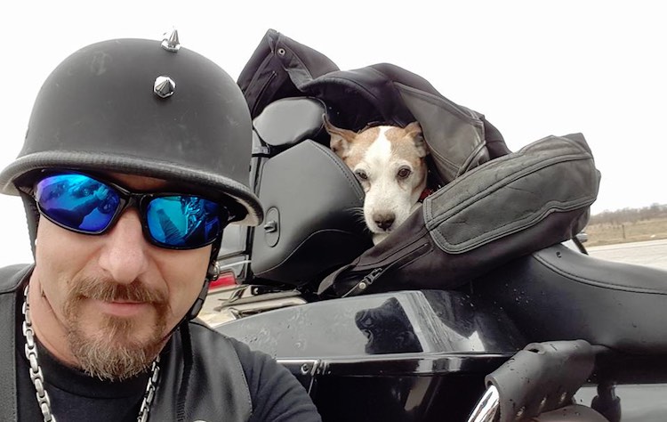 Motorcyclist saves dog FB Brandon Turnbow